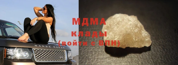 прущие грибы Беломорск