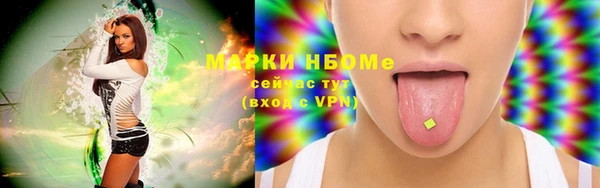 прущие грибы Беломорск
