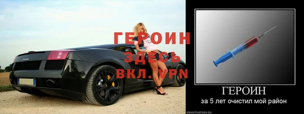 прущие грибы Беломорск