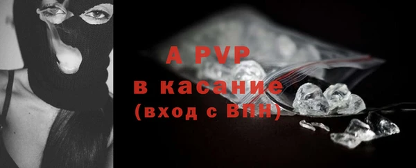 прущие грибы Беломорск