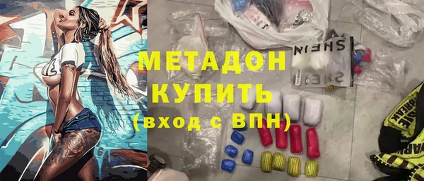 прущие грибы Беломорск