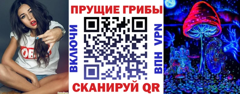 Псилоцибиновые грибы Psilocybe  Пыть-Ях 